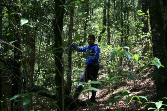 Caminatas en la naturaleza